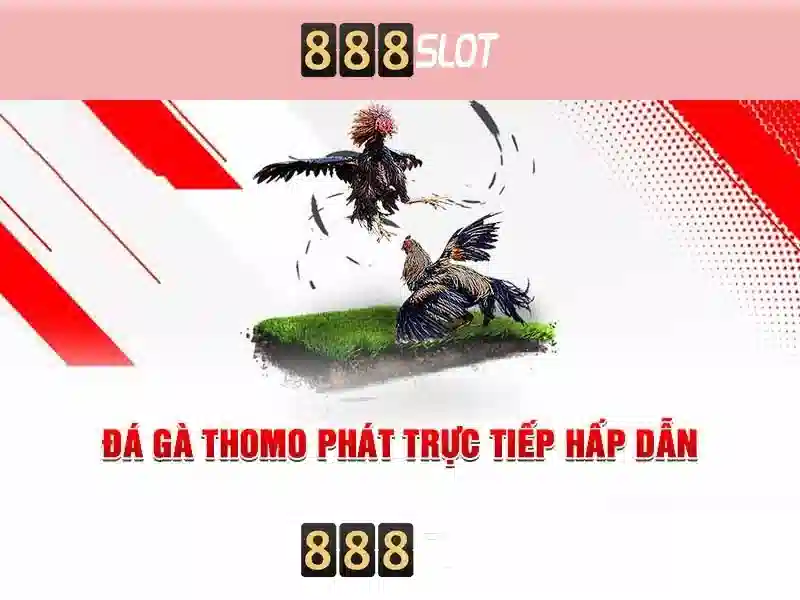 888slot: Đánh giá nền tảng casino trực tuyến nổi bật