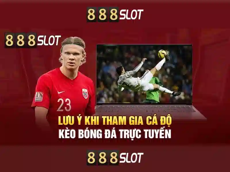 gioi-thieu-illustration