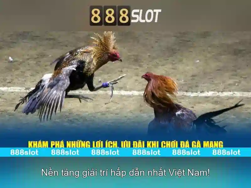 888slot - Nền tảng slot trực tuyến đáng tin cậy cho người Việt