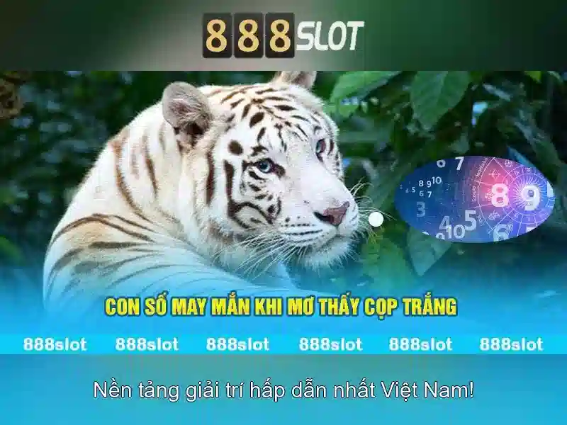 888slot - Nen tang slot truc tuyen hang dau